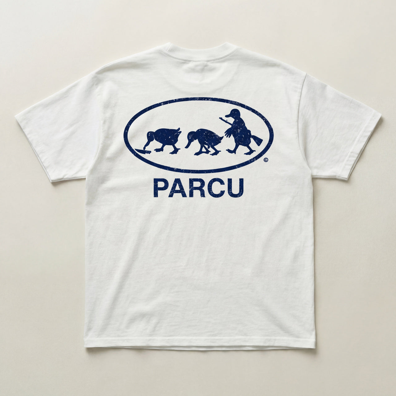 Evolution heavyweight tee - PARCU
