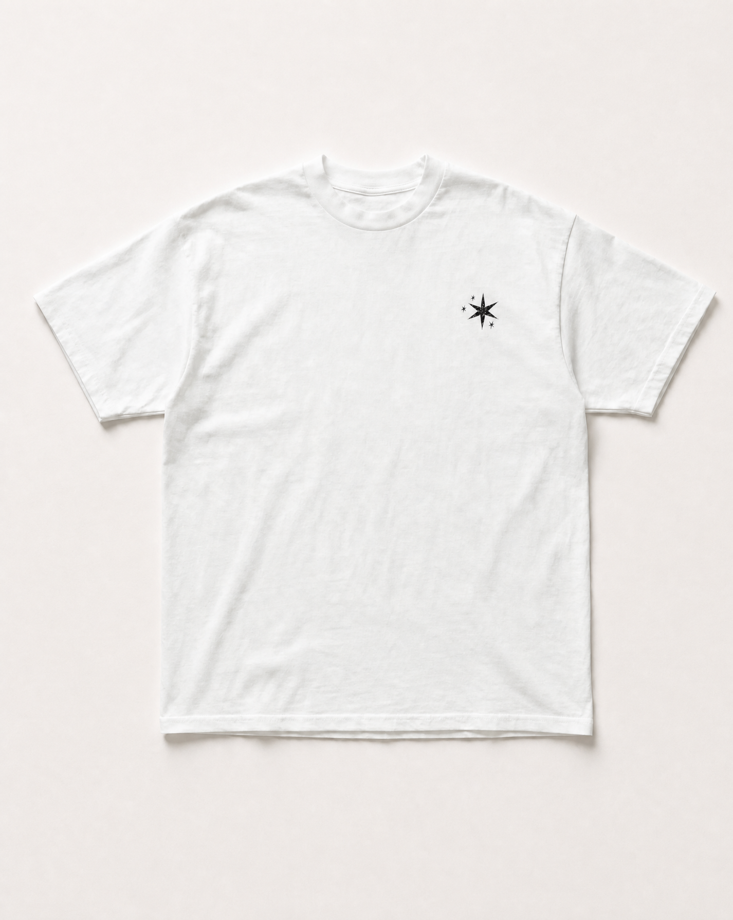 Star horse heavyweight tee
