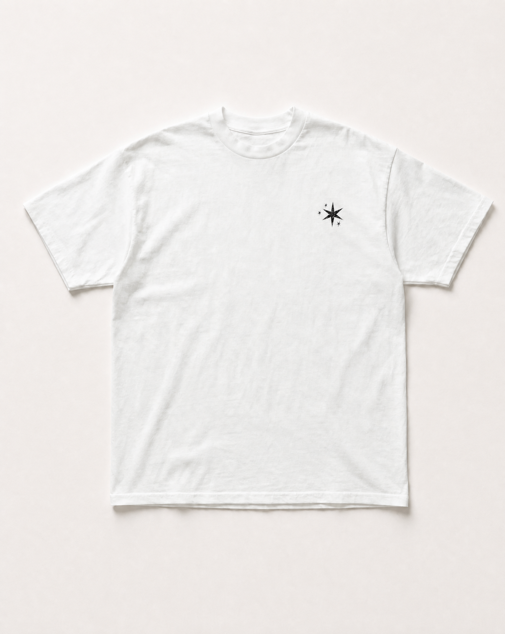 Star horse heavyweight tee