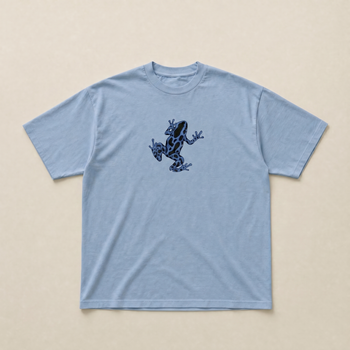 Baby blue Blue frog