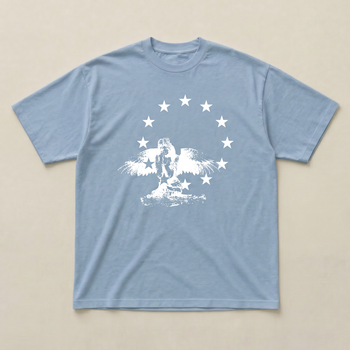 Baby blue Fallen stars