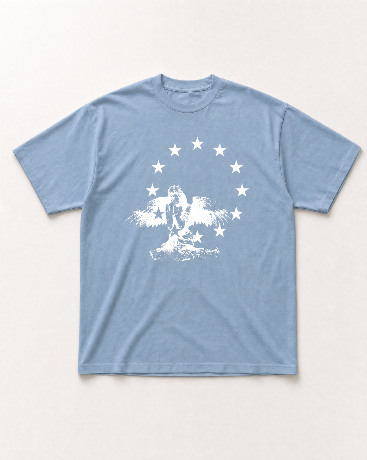 Baby blue Fallen stars heavyweight tee