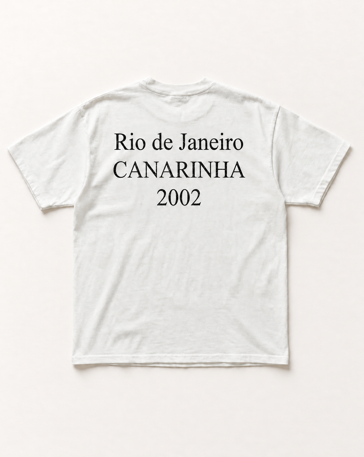 Brazil heritage heavyweight tee - back