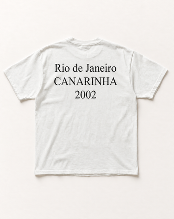 Brazil heritage heavyweight tee - back