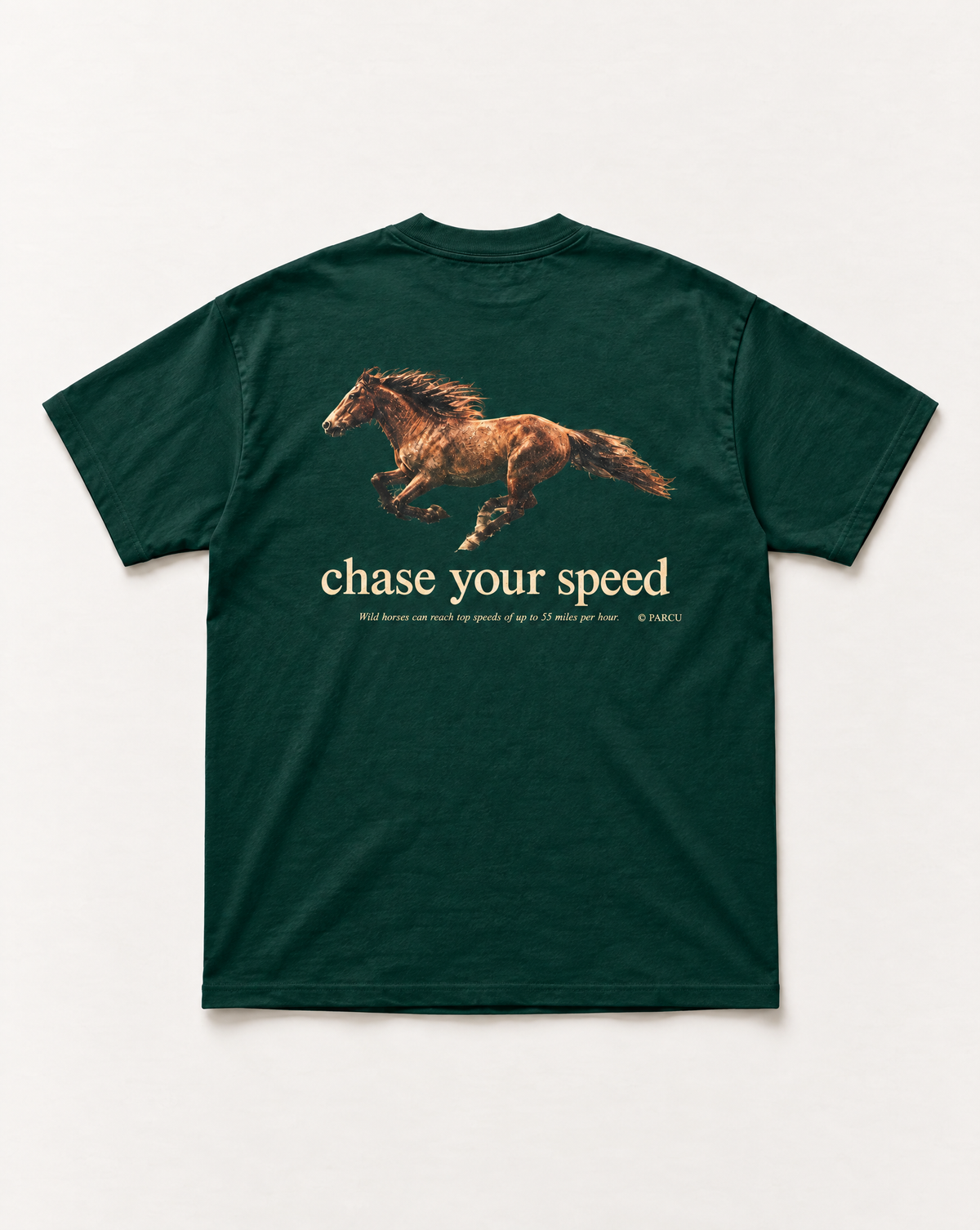 Chase heavyweight tee - back