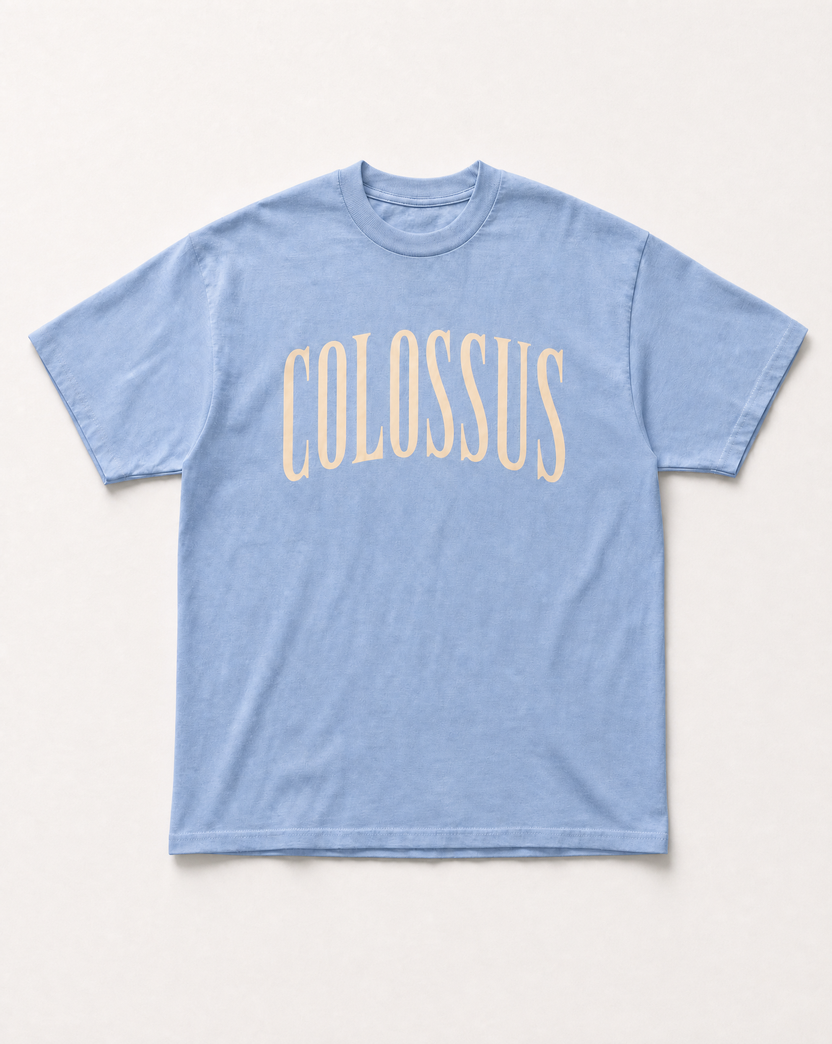 Colossus heavyweight tee