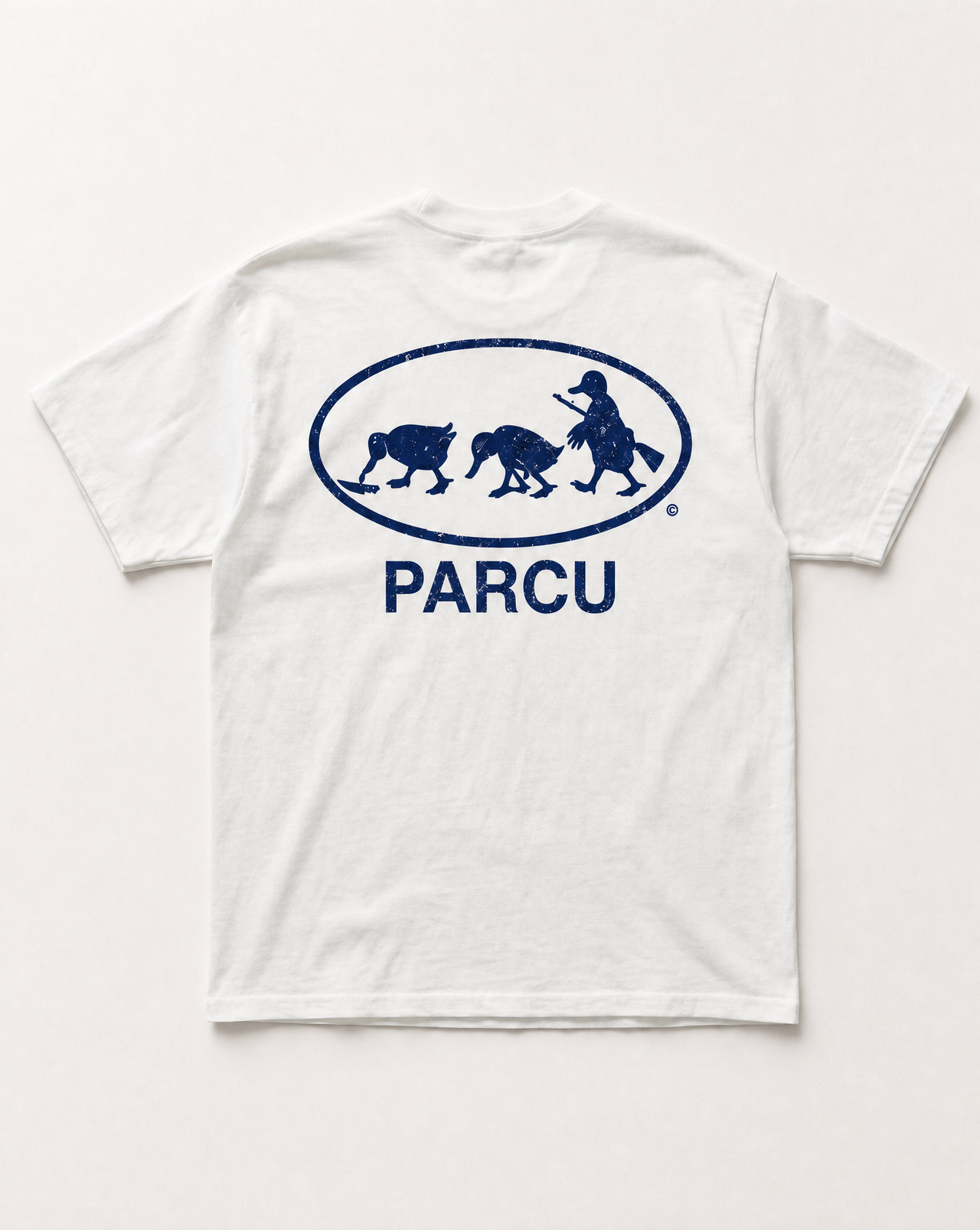 Evolution heavyweight tee