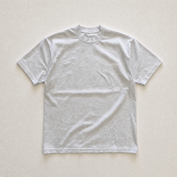 Grey chasing paradise tee - back view