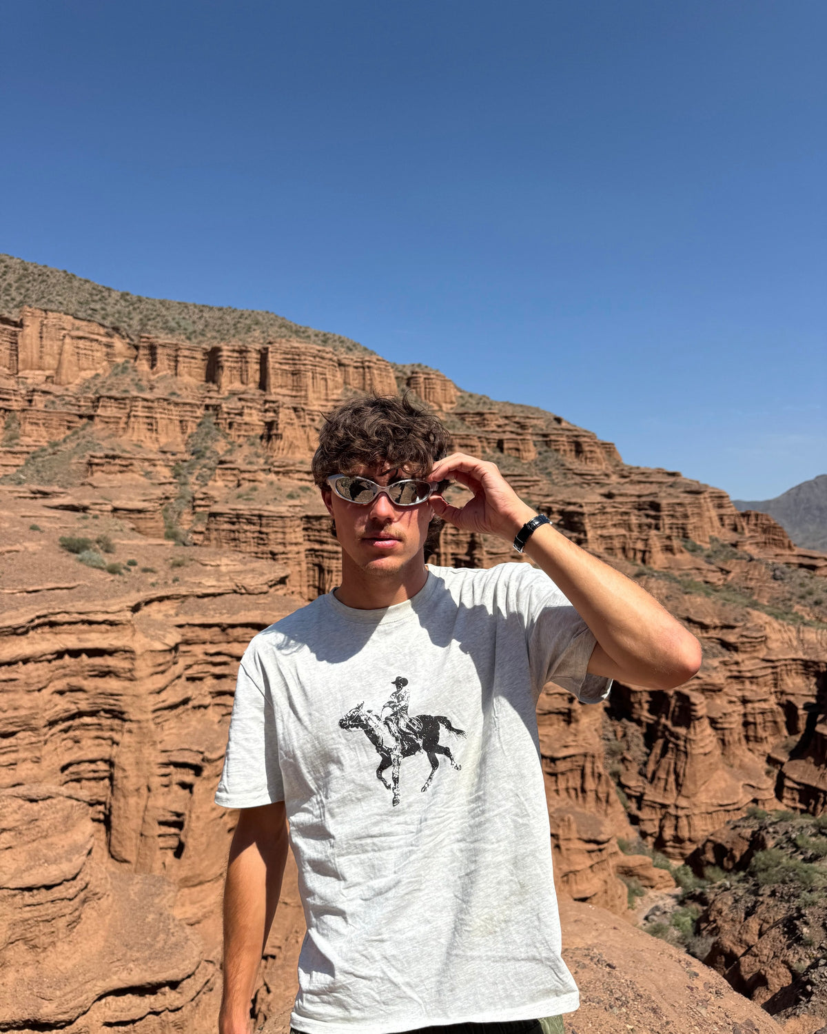Grey cowboy heavyweight tee | Jaron, 186cm / 6'1", wearing size Large (Boxy Fit)